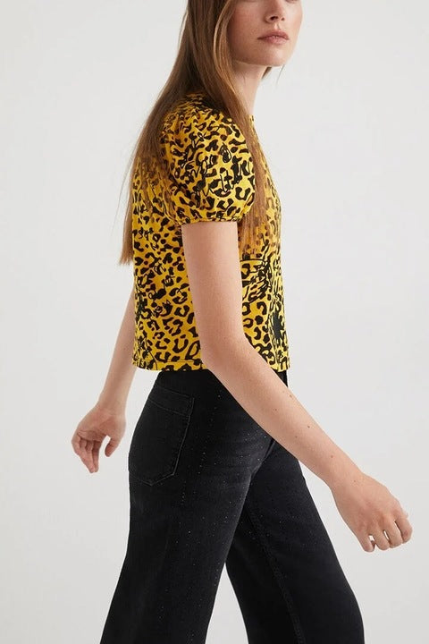 Desigual Andrea T-shirt